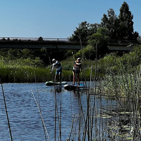 Гребной марафон «Тверской бечевник 2026» в Твери г.Тверь